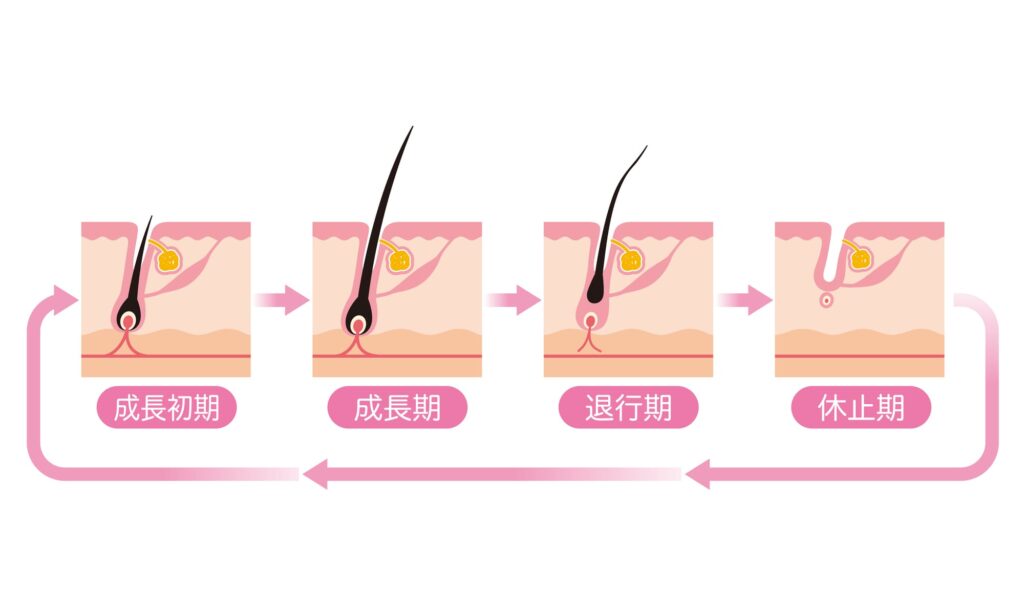 マンジャロ 抜け毛