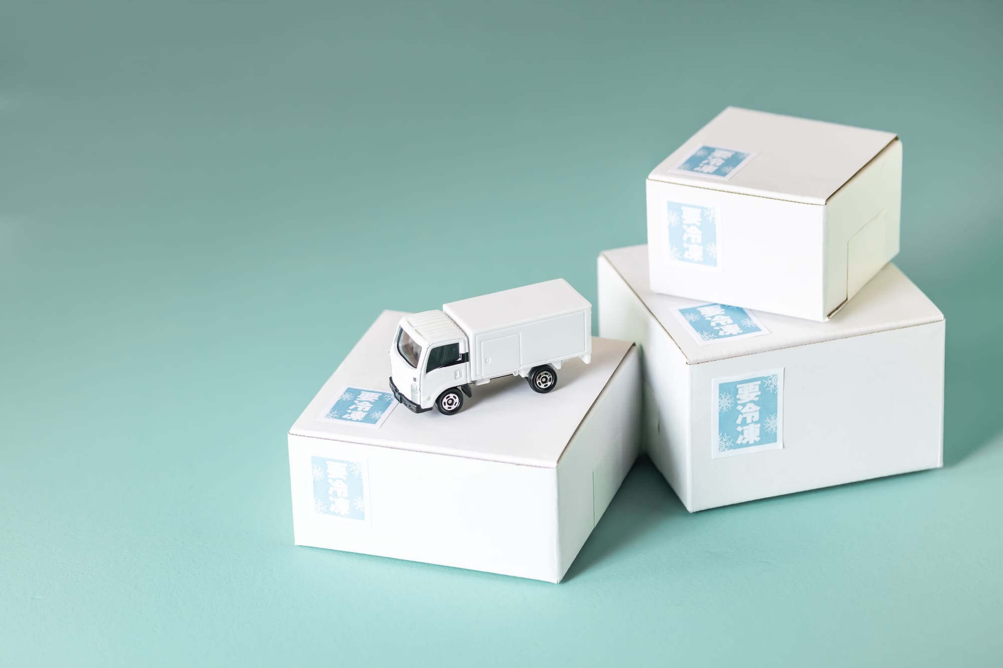 マンジャロ クール便