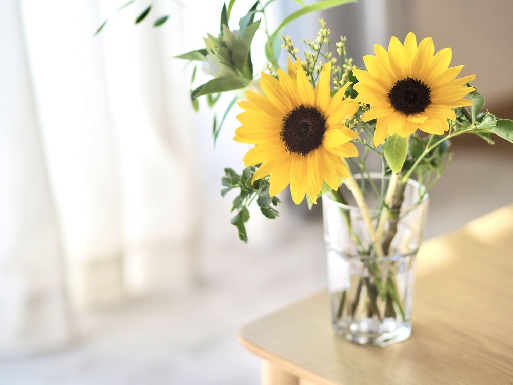 マンジャロ 保管方法