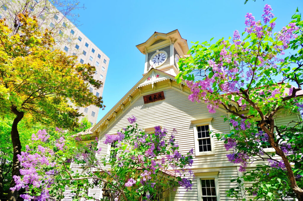マンジャロ 札幌 安い